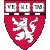 veritas icon